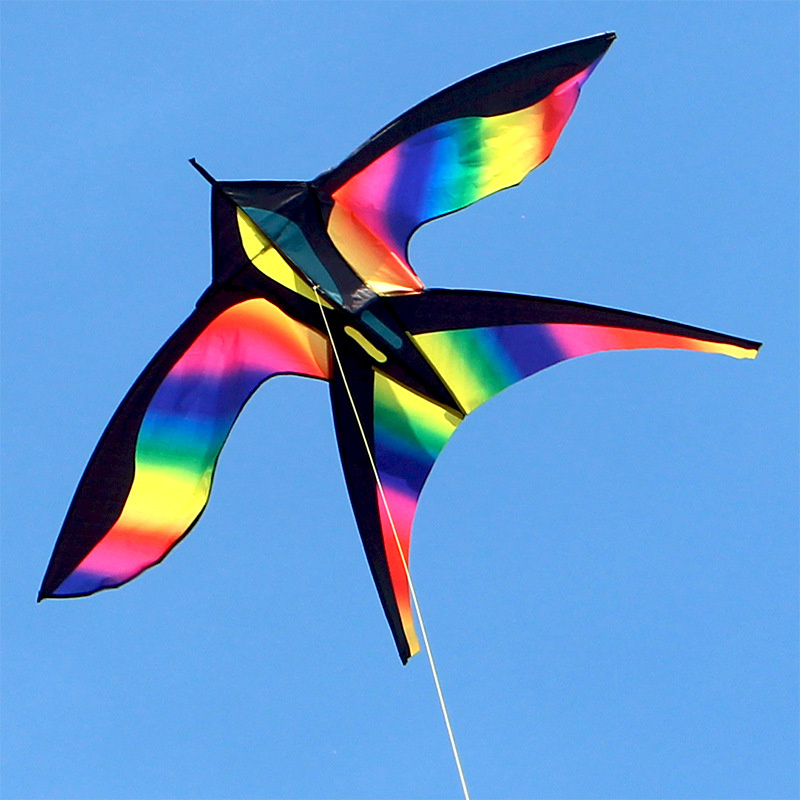 Kite Easy Fly Kids - 1.7M Gemakkelijk Te Vliegen Kleurrijke Regenboog