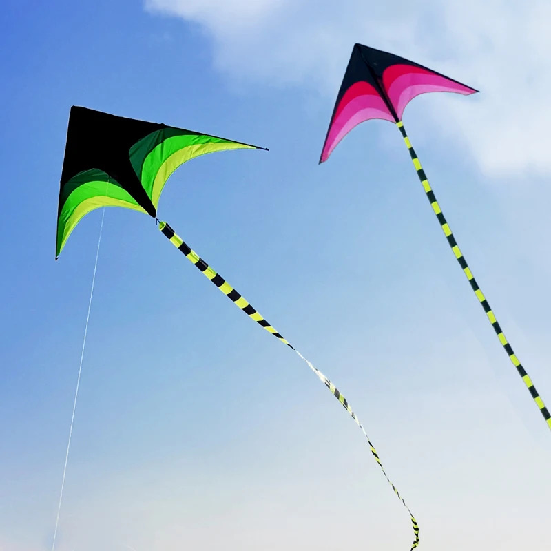 Volwassenen Gemakkelijk te vli - Kite Easy Fly Kids recensie en prijs