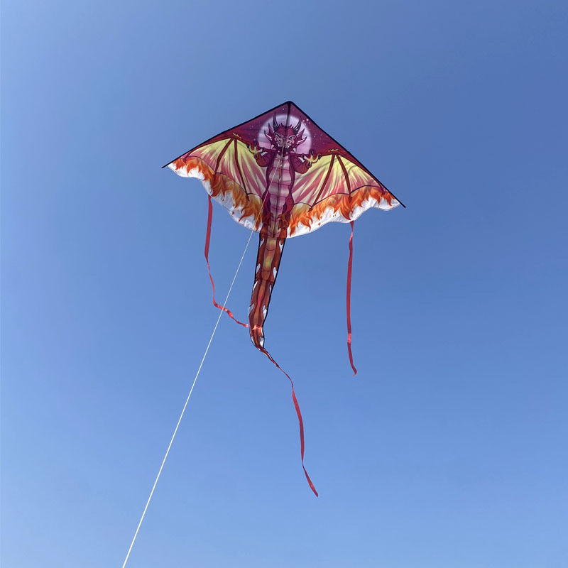 Grote drakenvlieger voor kinde - Kite Easy Fly Kids recensie en prijs