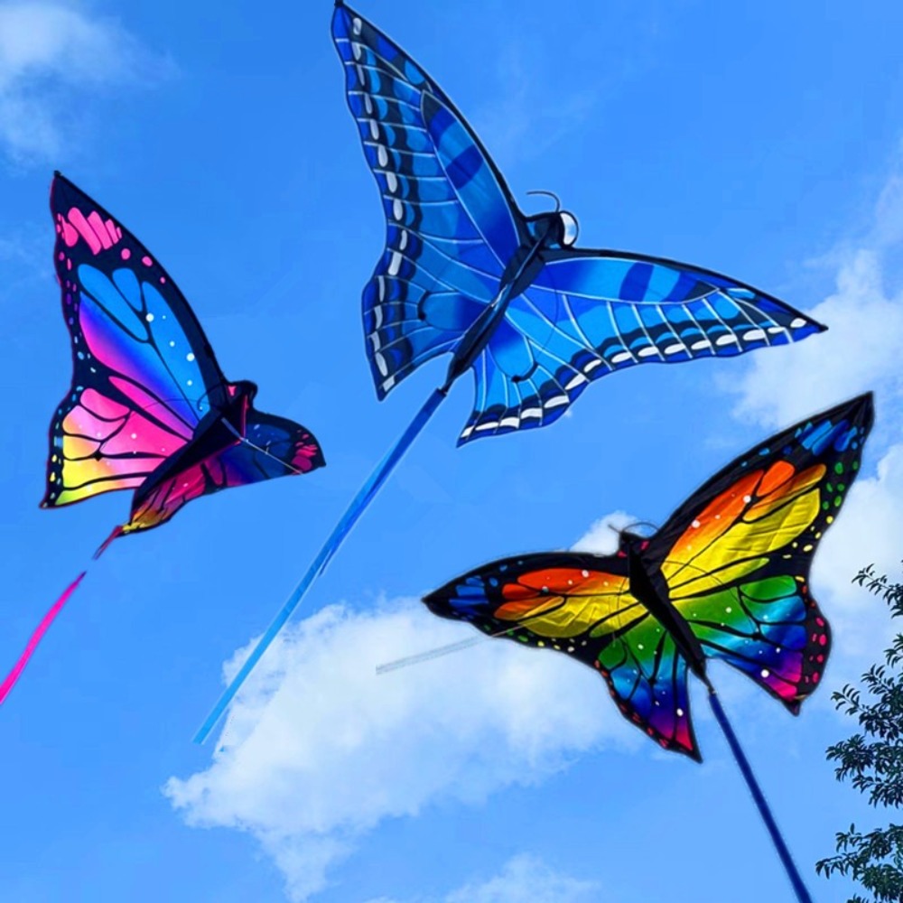 Gemakkelijk te vliegen Kleurri - Kite Easy Fly Kids recensie en prijs