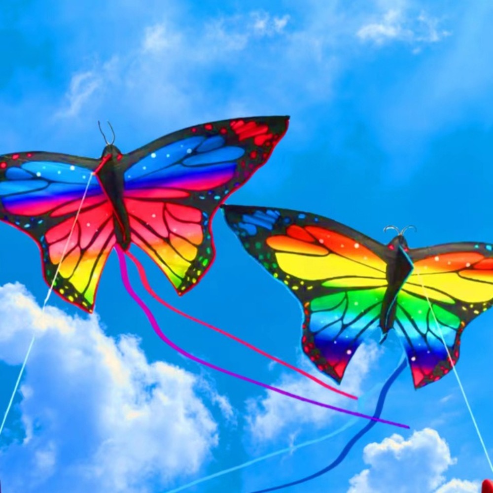 Gemakkelijk te vliegen Kleurri - Kite Easy Fly Kids recensie en prijs