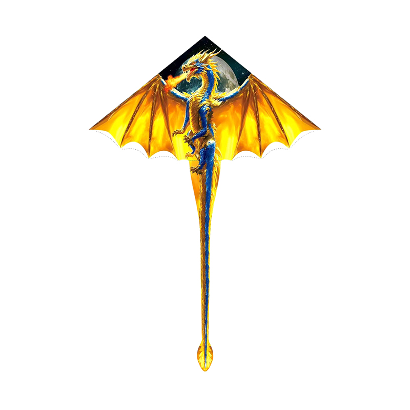 Grote drakenvlieger voor kinde - Kite Easy Fly Kids recensie en prijs
