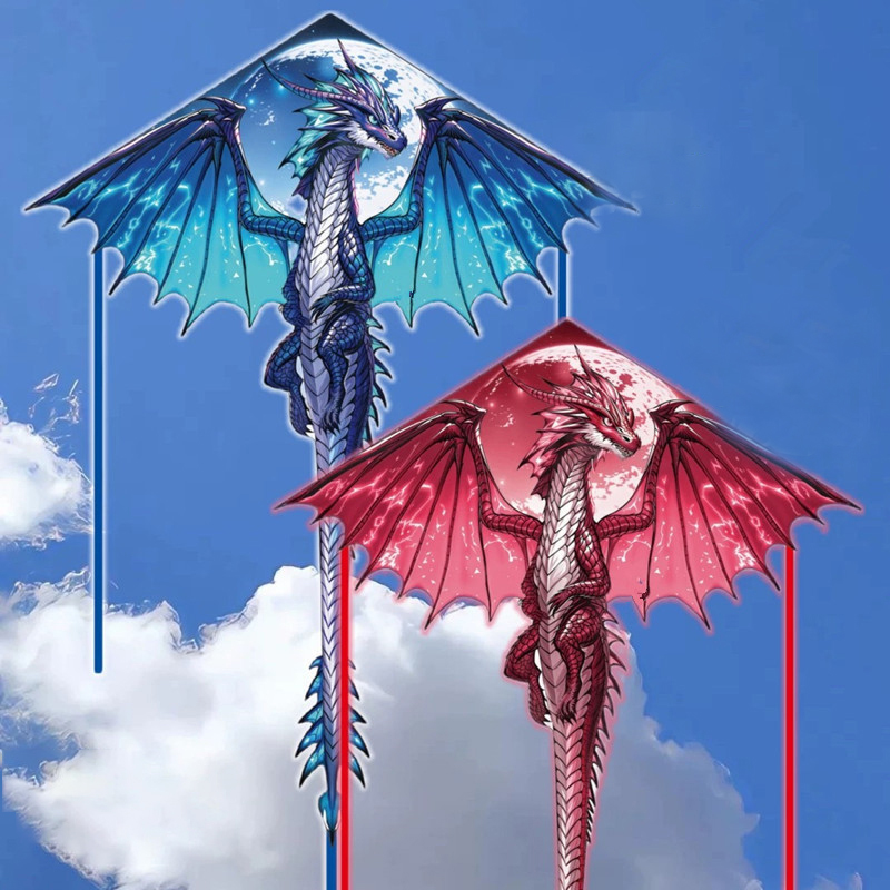 Grote drakenvlieger voor kinde - Kite Easy Fly Kids recensie en prijs