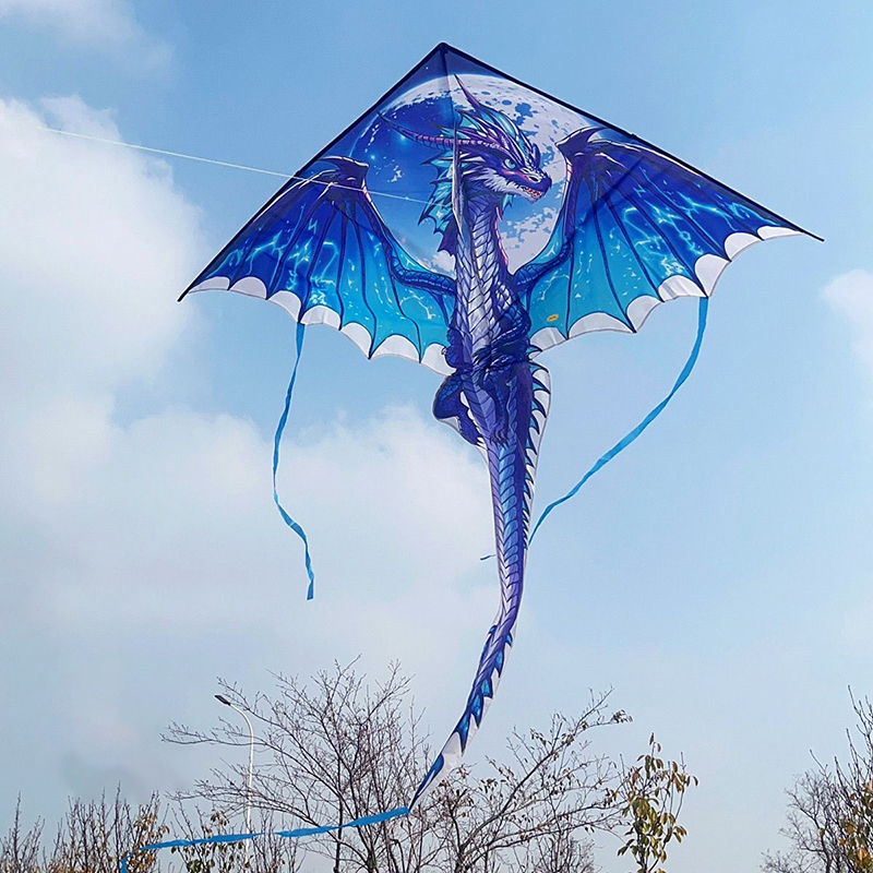 Grote drakenvlieger voor kinde - Kite Easy Fly Kids recensie en prijs