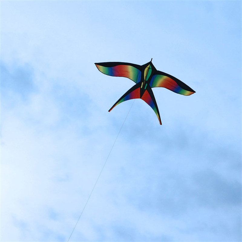 1.7M Gemakkelijk Te Vliegen Kl - Kite Easy Fly Kids recensie en prijs