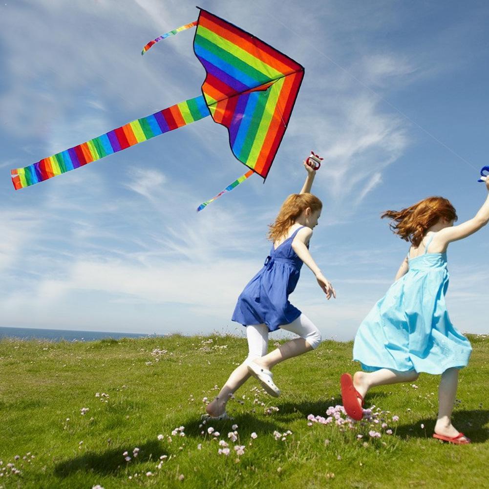 Gemakkelijk Vliegen! Grote Kle - Kite Easy Fly Kids recensie en prijs