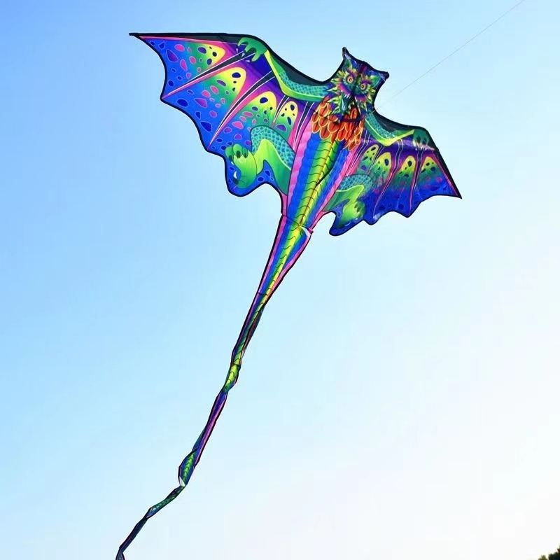 3d draak vlieger voor kinderen - Kite Easy Fly Kids recensie en prijs
