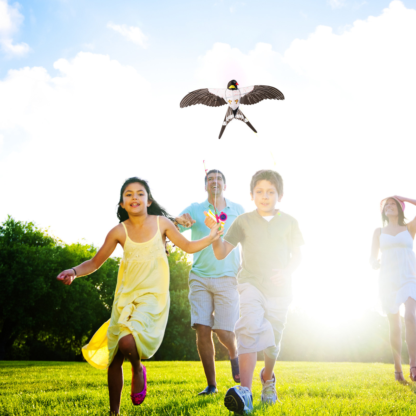 Gemakkelijk te vliegen vogelvl - Kite Easy Fly Kids recensie en prijs