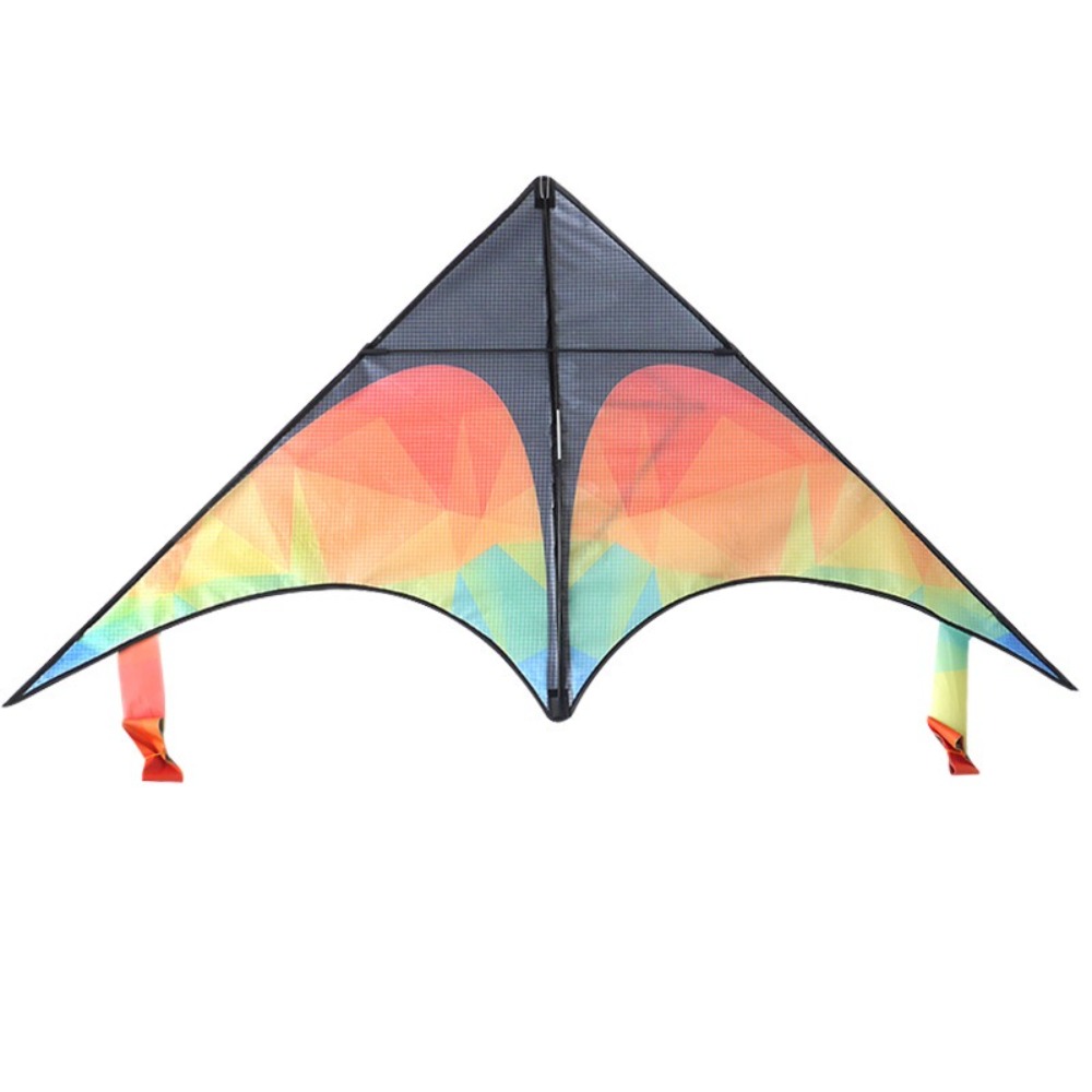 Dubbelstaart Grote Delta Kite  - Kite Easy Fly Kids recensie en prijs