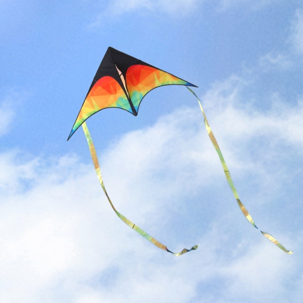Dubbelstaart Grote Delta Kite  - Kite Easy Fly Kids recensie en prijs